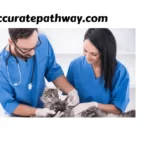 Veterinary Work in the USA