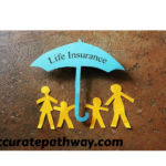 Life Insurance in the USA